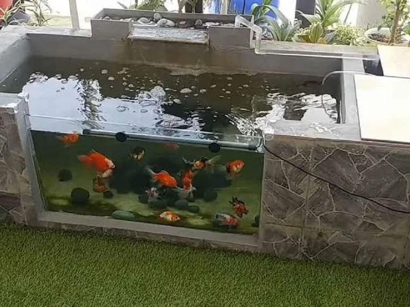 Kolam megatank