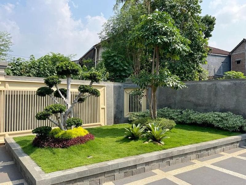 Taman