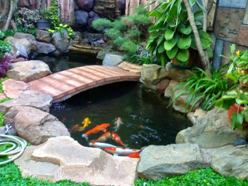 Kolam dengan jembatan
